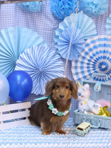 20231105モカくん